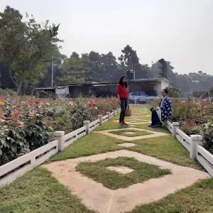 unnamed - 2025-05-31T232152.502