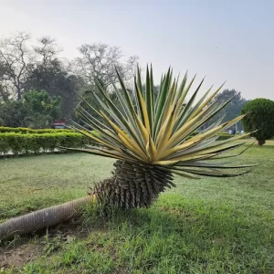 unnamed - 2025-05-31T232201.744