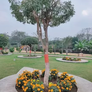 unnamed - 2025-05-31T232312.846